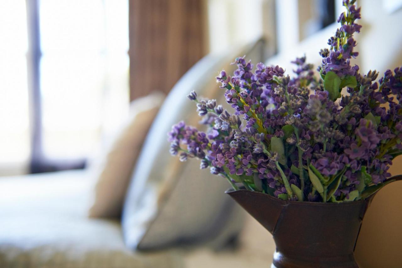 Cambridge Cottage - Self Catering Holiday House Buitenkant foto